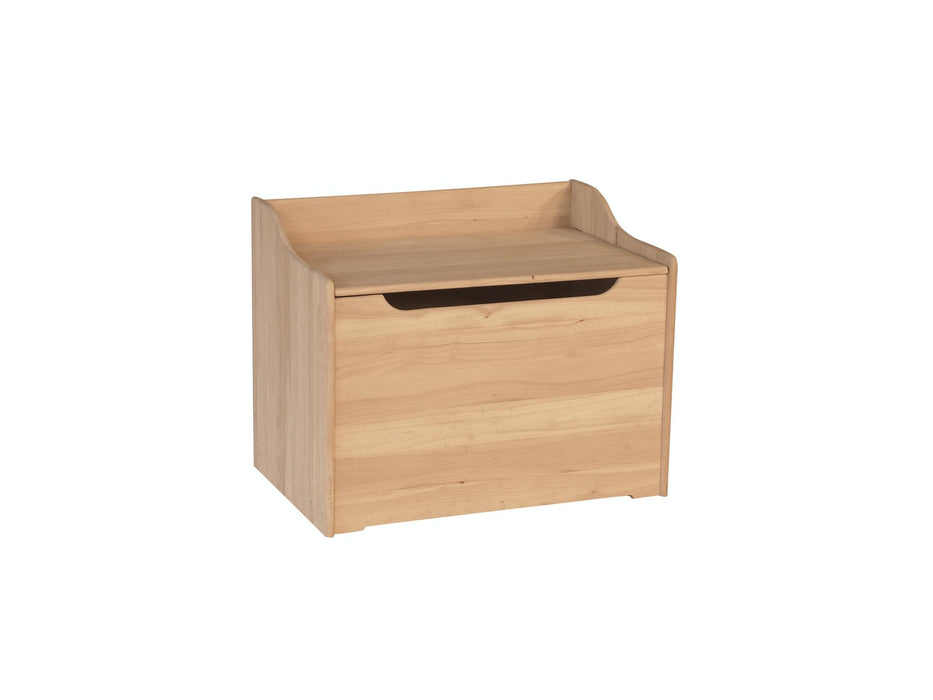Juvenile 29'' Storage Chest / Toy Chest