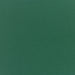 POLYWOOD Standard Seat Cushion 16.5"D x 20.13"W x 2.5"H in Forest Green image